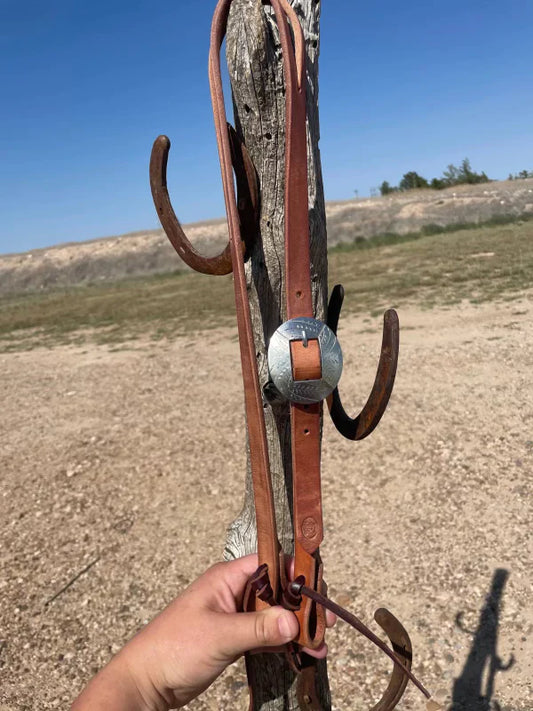 Headstall with Fancy Etched buckle